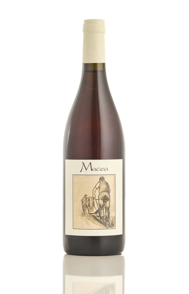 Macea Pinot Grigio 2021 - FNWNS